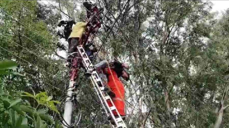 बड़ी लापरवाही : विधुत विभाग की लापरवाही से हुआ एक बड़ा हादसा, शट-डाउन लेकर बिजली के पोल पर काम करने चढ़ा कर्मचारी झुलसा