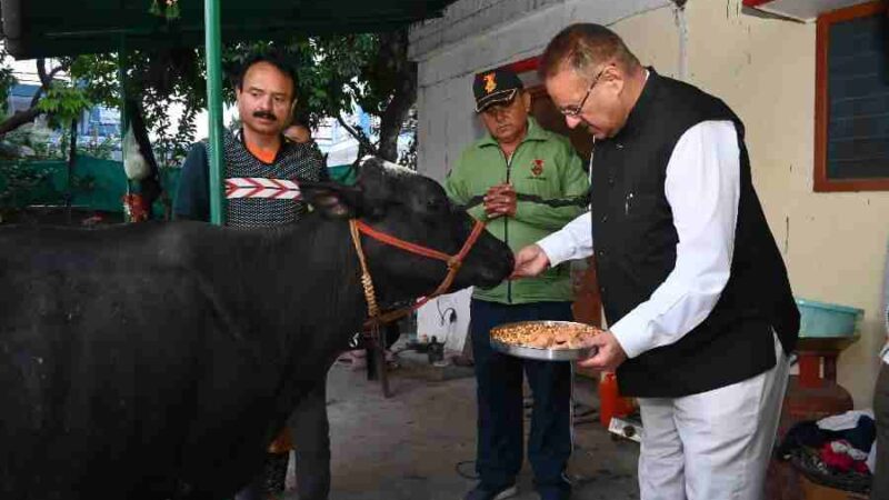 कृषि मंत्री गणेश जोशी ने नयागांव स्थित गौशाला में गोवर्धन पूजा के अवसर पर गौमाता की पूजा अर्चना कर लिया आर्शीवाद