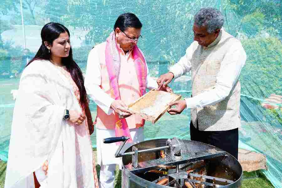 मुख्यमंत्री आवास परिसर में किया गया शहद निष्कासन कार्य, पहले चरण में निकाला गया 57 किलोग्राम शहद