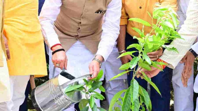 मुख्यमंत्री ने एक पेड़ मॉं के नाम अभियान के तहत किया पौधारोपण