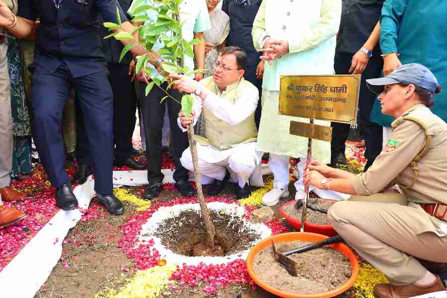 हरेला पर्व पर राज्यव्यापी पौधारोपण कार्यक्रम में मुख्यमंत्री ने रोपा रुद्राक्ष का पौधा, प्रदेश में हरेला का त्योहार मनाओ, धरती माँ का ऋण चुकाओ” थीम पर किया गया पौधारोपण