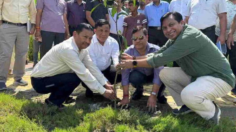 हरेला पर्व पर MDDA की हरित पहल, वृक्षारोपण एवं पौधा वितरण कार्यक्रम का भव्य आयोजन, शहर भर में 60,000 पौधे लगाने और वितरित करने का संकल्प, हरेला पर्व संस्कृति और जिम्मेदारी का संगम- बंशीधर तिवारी