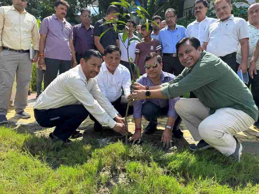 हरेला पर्व पर MDDA की हरित पहल, वृक्षारोपण एवं पौधा वितरण कार्यक्रम का भव्य आयोजन, शहर भर में 60,000 पौधे लगाने और वितरित करने का संकल्प, हरेला पर्व संस्कृति और जिम्मेदारी का संगम- बंशीधर तिवारी