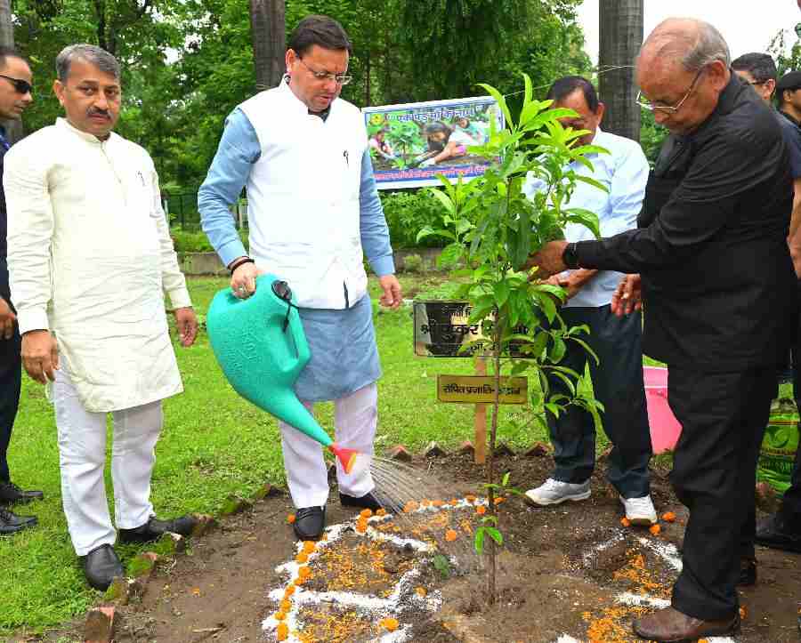 एक पेड़ माँ के नाम’ अभियान के अंतर्गत मुख्यमंत्री ने किया वृक्षारोपण, पर्यावरण संरक्षण का दिया संदेश