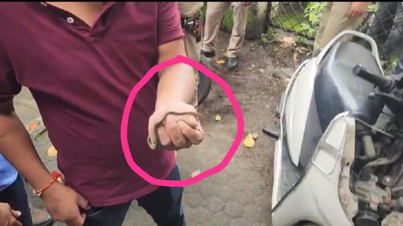 सचिवालय में स्कूटी के अंदर सांप, कर्मचारियों में मचा हड़कंप
