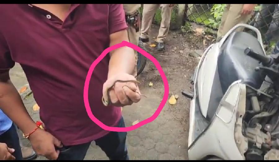 सचिवालय में स्कूटी के अंदर सांप, कर्मचारियों में मचा हड़कंप