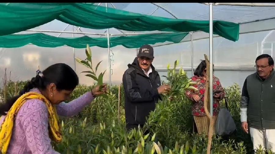 धामी सरकार के सहयोग से कोट ब्लॉक में की जा रही लिलियम फूलों की खेती, प्रति वर्ष 10 लाख आय का लक्ष्य रखा गया है निर्धारित