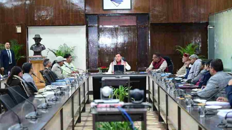 मुख्यमंत्री धामी ने जड़ी-बूटी सलाहकार समिति की बैठक में अधिकारियों को दिए निर्देश, हर्बल व जड़ी-बूटी सेक्टर में नवाचार, वैल्यू एडिशन और मार्केटिंग पर दिया जाए जोर- मुख्यमंत्री  