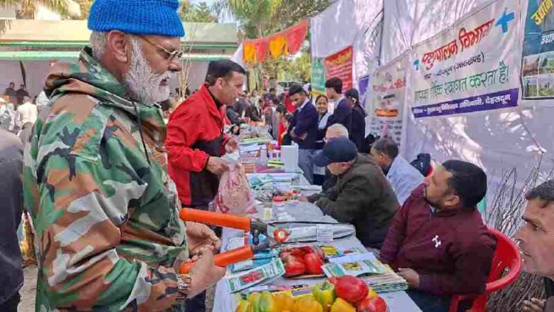 जन-जन की सरकार, जन-जन के द्वार” बना जनसेवा का सशक्त माध्यम, मुख्यमंत्री धामी के नेतृत्व में 3.22 लाख से अधिक नागरिकों को मिला सीधा लाभ