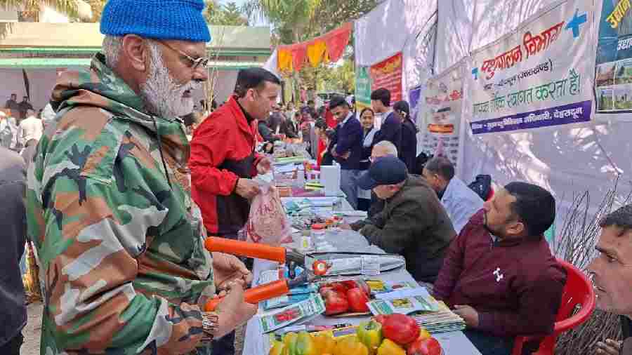 जन-जन की सरकार, जन-जन के द्वार” बना जनसेवा का सशक्त माध्यम, मुख्यमंत्री धामी के नेतृत्व में 3.22 लाख से अधिक नागरिकों को मिला सीधा लाभ