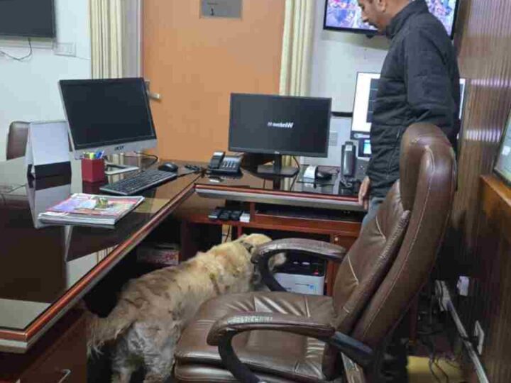 पासपोर्ट ऑफिस में धमाकों की धमकी पर दून पुलिस की त्वरित कार्यवाही, बी०डी०एस० तथा डॉग स्क्वाड के साथ सम्पूर्ण परिसर में चलाया सर्चिंग अभियान