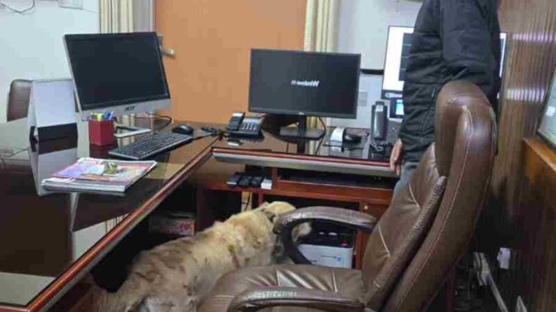 पासपोर्ट ऑफिस में धमाकों की धमकी पर दून पुलिस की त्वरित कार्यवाही, बी०डी०एस० तथा डॉग स्क्वाड के साथ सम्पूर्ण परिसर में चलाया सर्चिंग अभियान