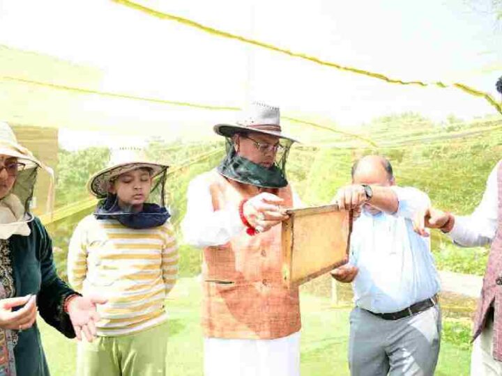 मुख्यमंत्री आवास परिसर में किया गया शहद निष्कासन कार्य, पहले चरण में निकाला गया 60 किलोग्राम शहद