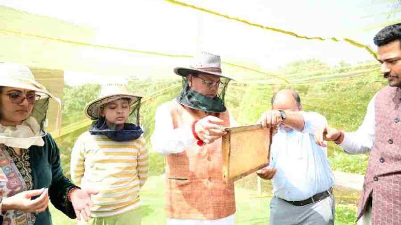 मुख्यमंत्री आवास परिसर में किया गया शहद निष्कासन कार्य, पहले चरण में निकाला गया 60 किलोग्राम शहद