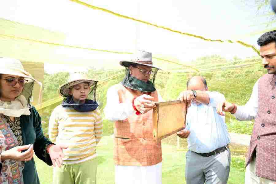 मुख्यमंत्री आवास परिसर में किया गया शहद निष्कासन कार्य, पहले चरण में निकाला गया 60 किलोग्राम शहद