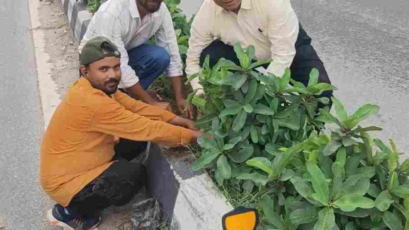 सीएम पुष्कर सिंह धामी के विजन को मिली रफ्तार, बंशीधर तिवारी के नेतृत्व में हरा-भरा हो रहा दून, कार्यालय जाते समय पौधरोपण अभियान पर पड़ी नजर, उपाध्यक्ष बंशीधर तिवारी ने रुककर परखी हरियाली की जमीनी हकीकत