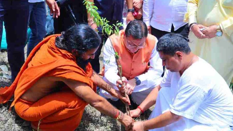 हरेला पर्व पर मालाग्राम पहुंचे मुख्यमंत्री, सघन पौधरोपण कर दिया हरित संरक्षण का संदेश