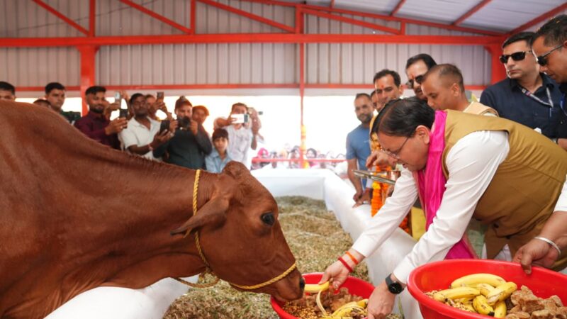 मुख्यमंत्री ने हल्दीघेरा, खटीमा में ₹7.23 करोड़ की लागत से निर्मित गौशाला का किया लोकार्पण