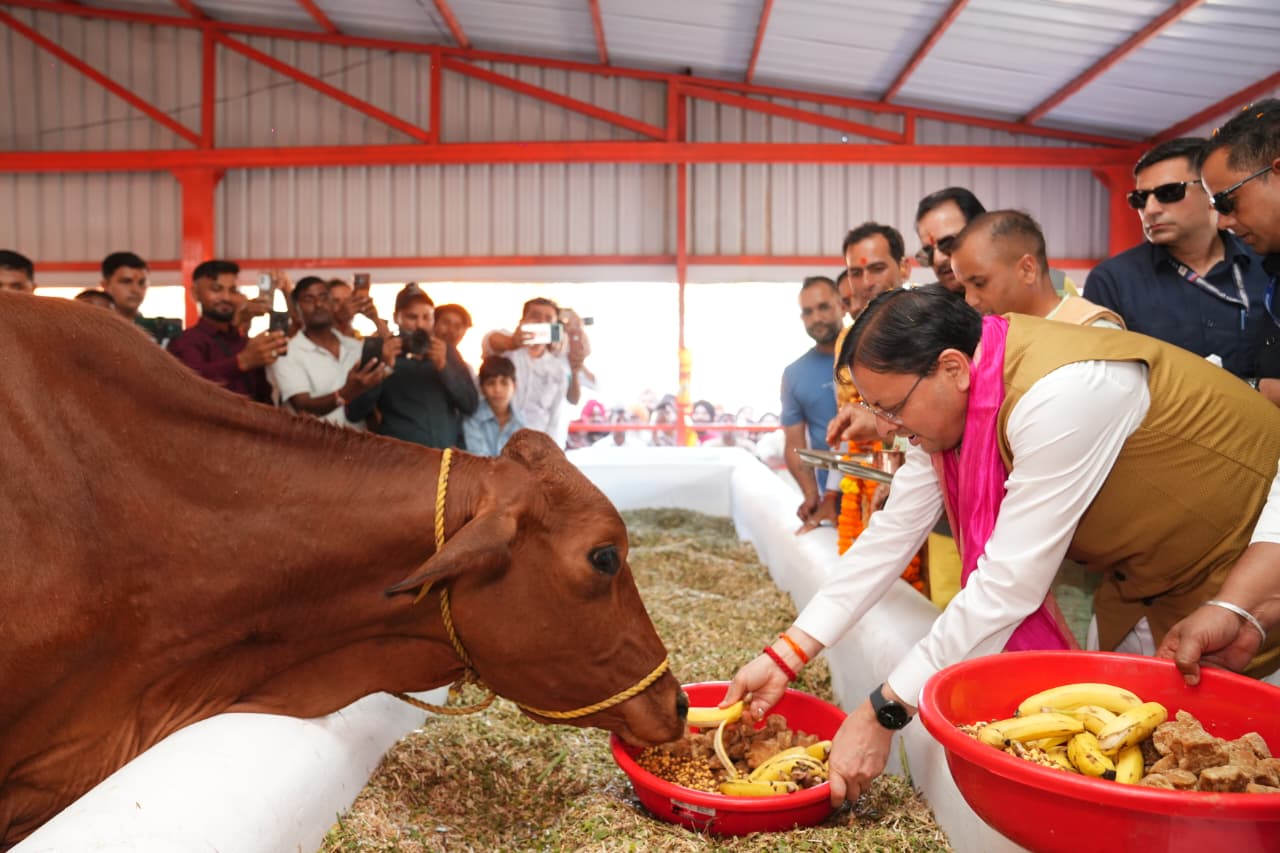 मुख्यमंत्री ने हल्दीघेरा, खटीमा में ₹7.23 करोड़ की लागत से निर्मित गौशाला का किया लोकार्पण